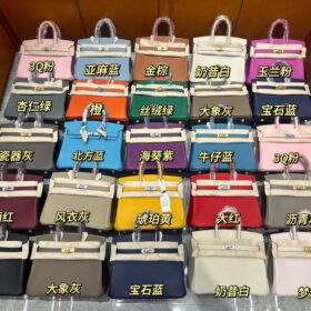 Birkin 25/30/35 in Togo Leather