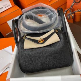 Mini Lindy 19cm in TC leather
